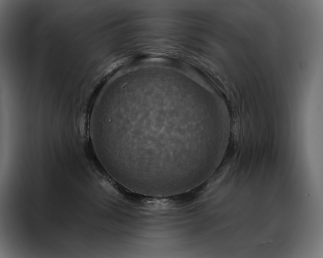 X0000088470428200705221407
