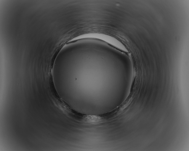 X0000088470429200705221407