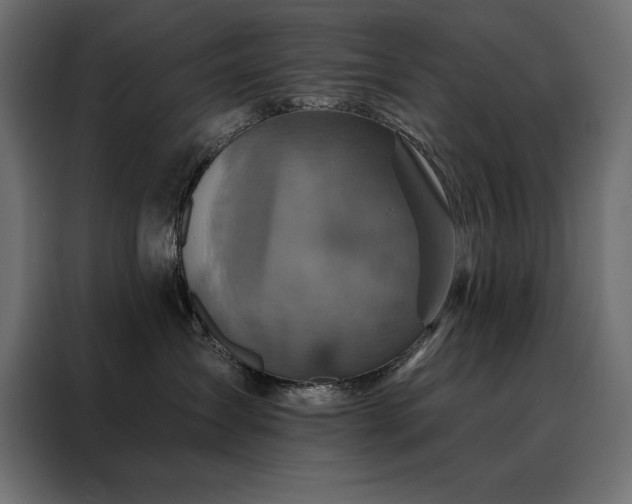 X0000088470431200705221407