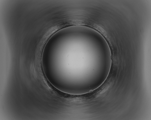 X0000088470433200705221406