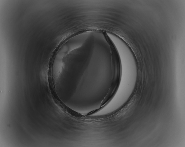 X0000088470434200705221406