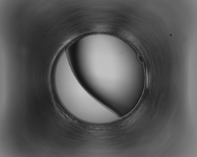 X0000088470435200705221406