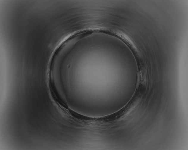 X0000088470436200705221406