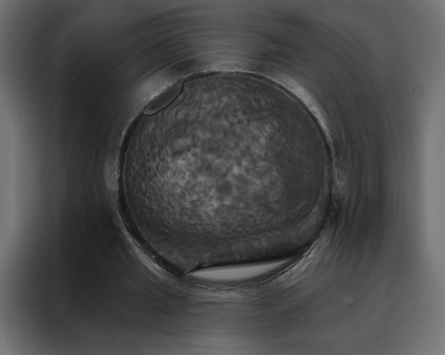 X0000088470437200705221406