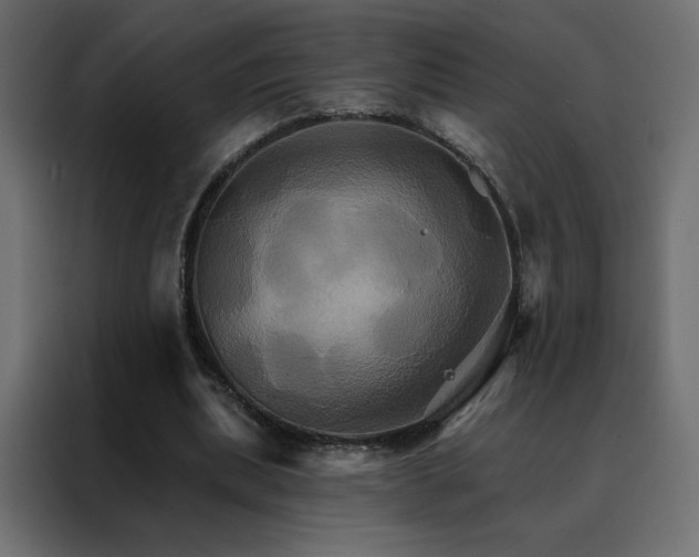 X0000088470439200705221406