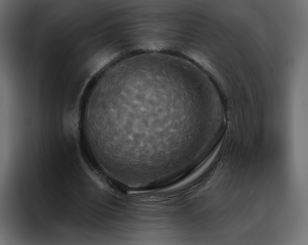 X0000088470440200705221406