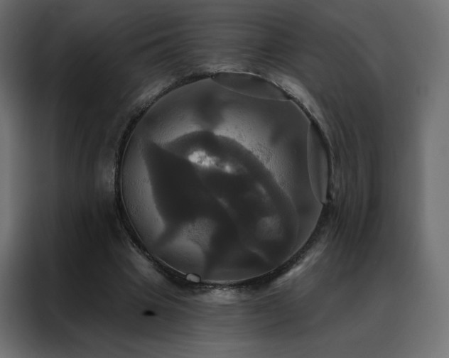 X0000088470441200705221406