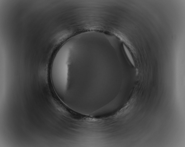 X0000088470442200705221406