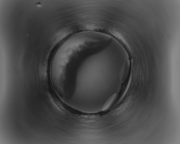 X0000088470443200705221406