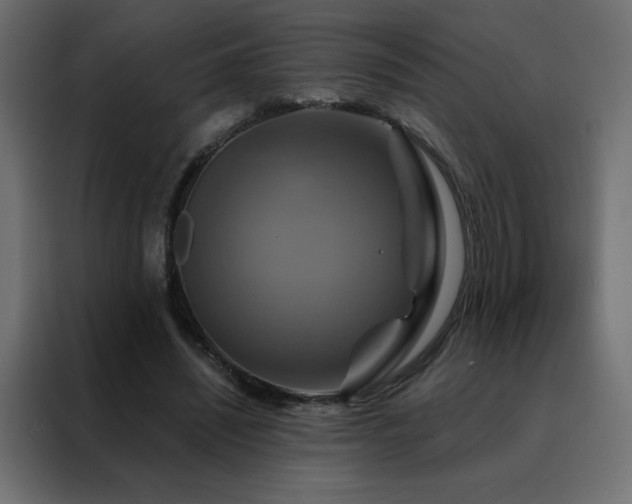 X0000088470444200705221406
