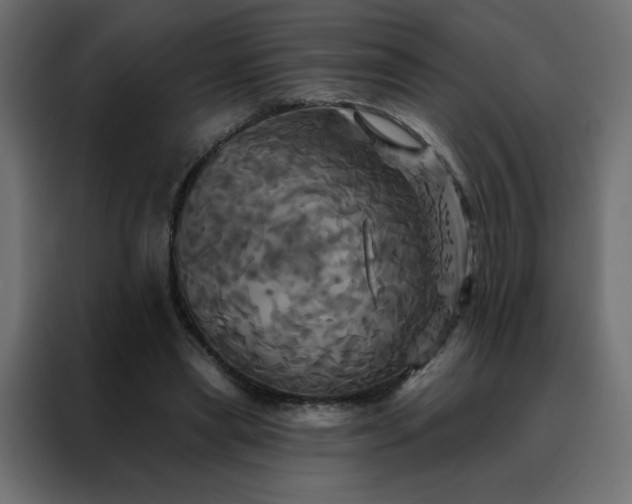 X0000088470445200705221406