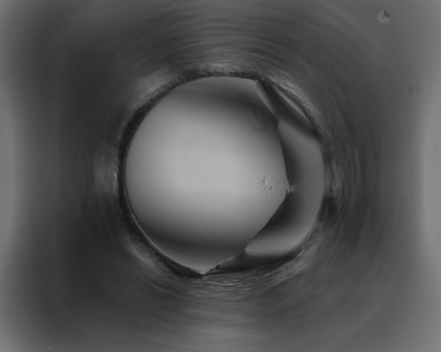 X0000088470446200705221406