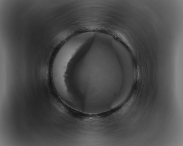 X0000088470447200705221406