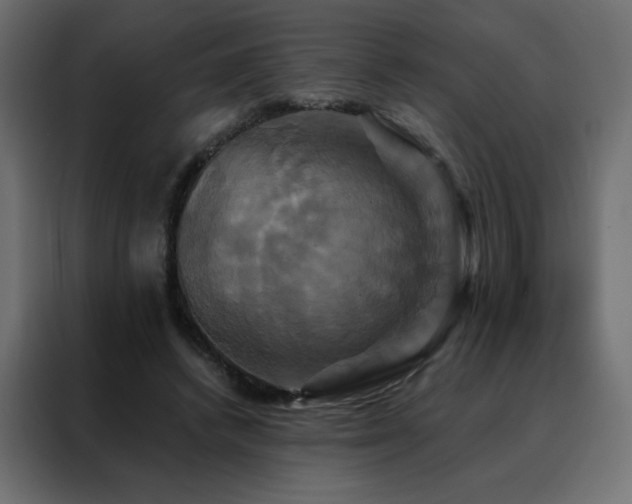 X0000088470448200705221406