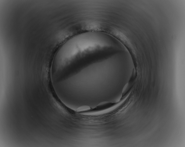 X0000088470449200705221406