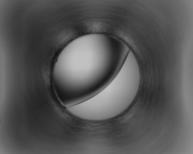 X0000088470450200705221406