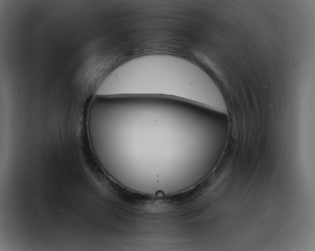 X0000088470451200705221406