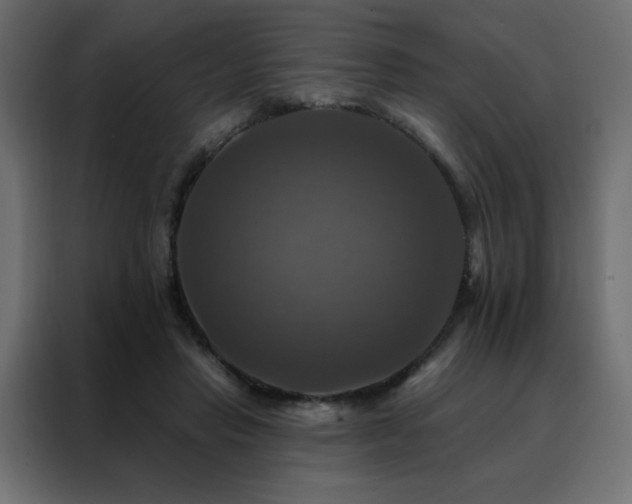 X0000088470453200705221406