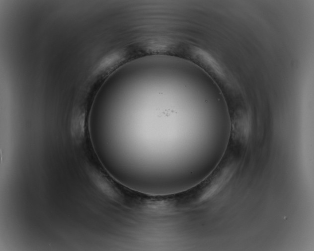 X0000088470454200705221406