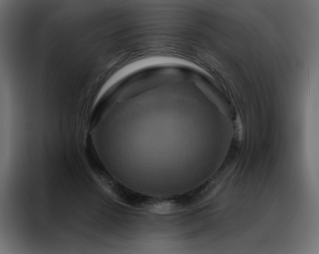 X0000088470456200705221406
