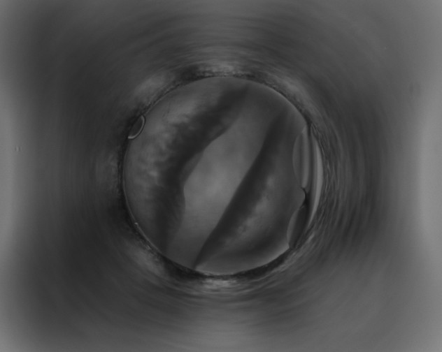 X0000088470457200705221406