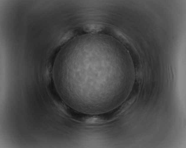 X0000088470460200705221406