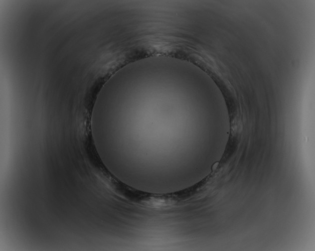 X0000088470464200705221406