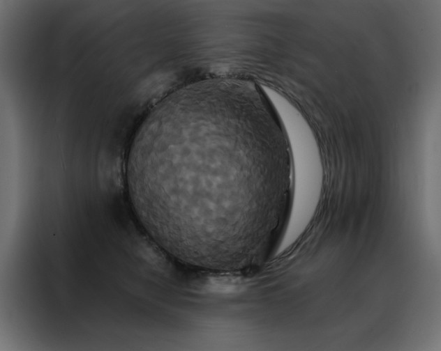X0000088470470200705221406