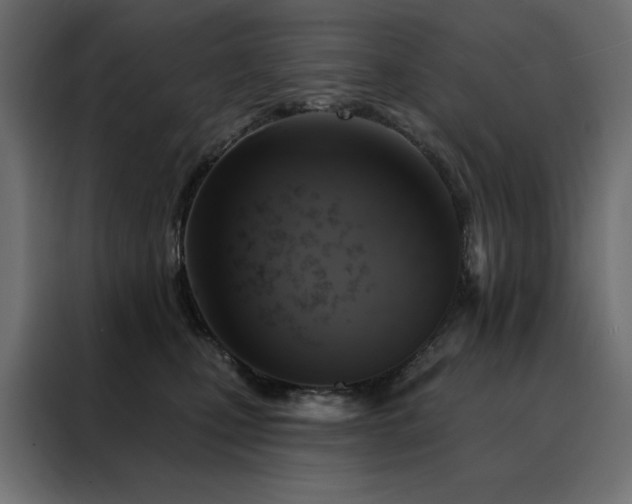 X0000088470471200705221406