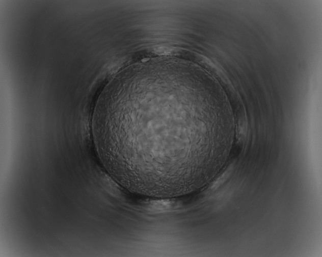 X0000088470473200705221407