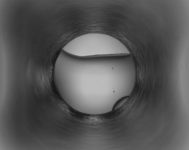 X0000088470475200705221407