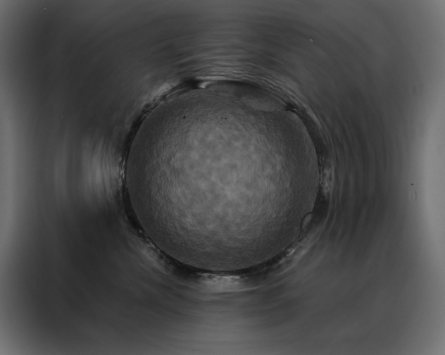 X0000088470476200705221407