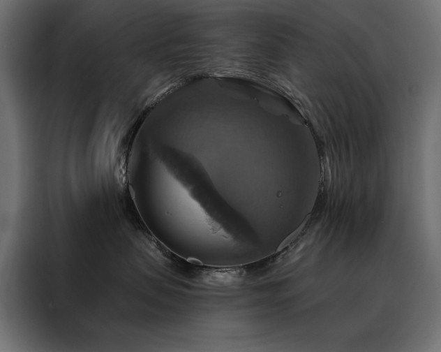 X0000088470479200705221407
