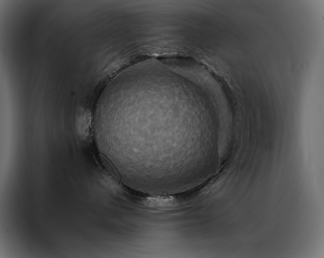 X0000088470480200705221407