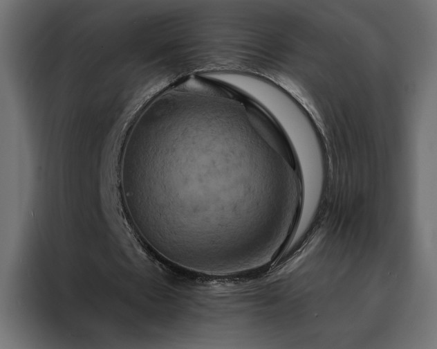 X0000088470481200705221406