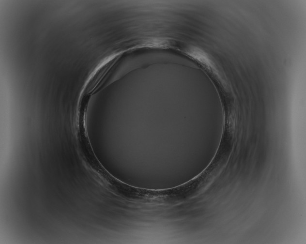 X0000088470484200705221406