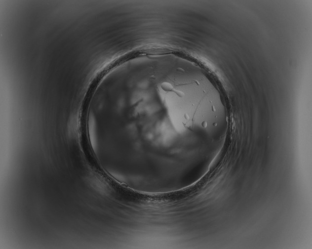 X0000088470487200705221406