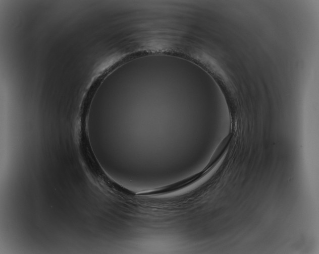 X0000088470488200705221406