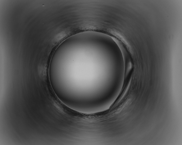 X0000088470489200705221406