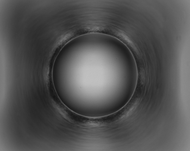 X0000088470490200705221406