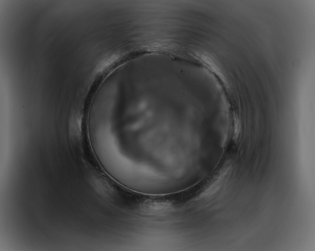 X0000088470491200705221406