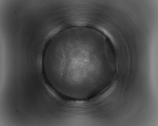 X0000088470493200705221406