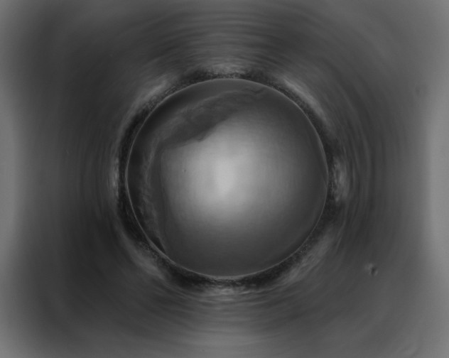 X0000088470494200705221406