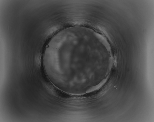 X0000088470495200705221406