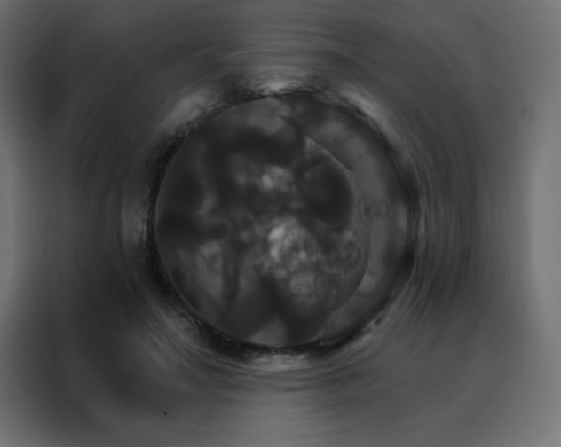 X0000088470499200705221406