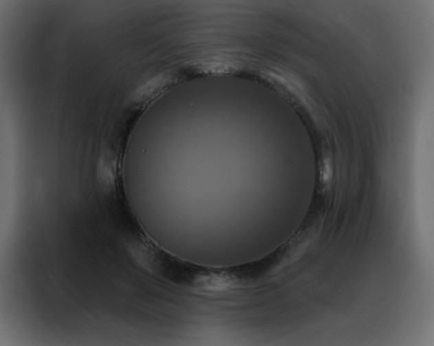 X0000088470503200705221406