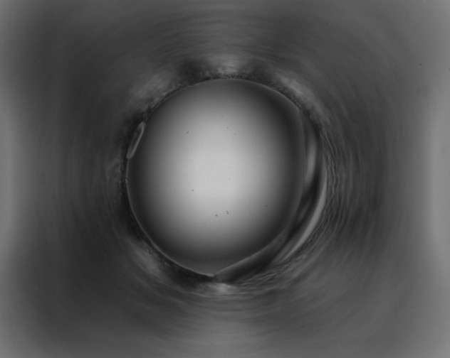 X0000088470509200705221406