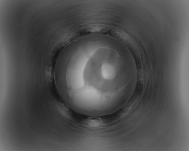 X0000088470510200705221406