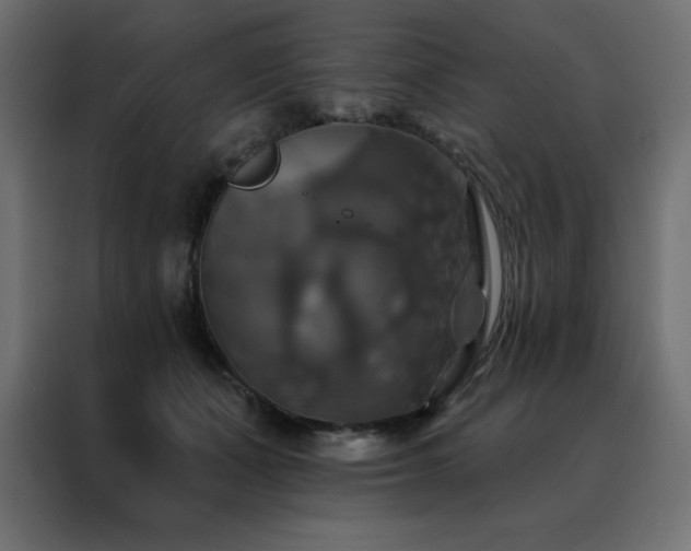 X0000088470511200705221406