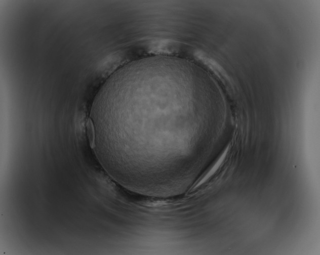 X0000088470513200705221406